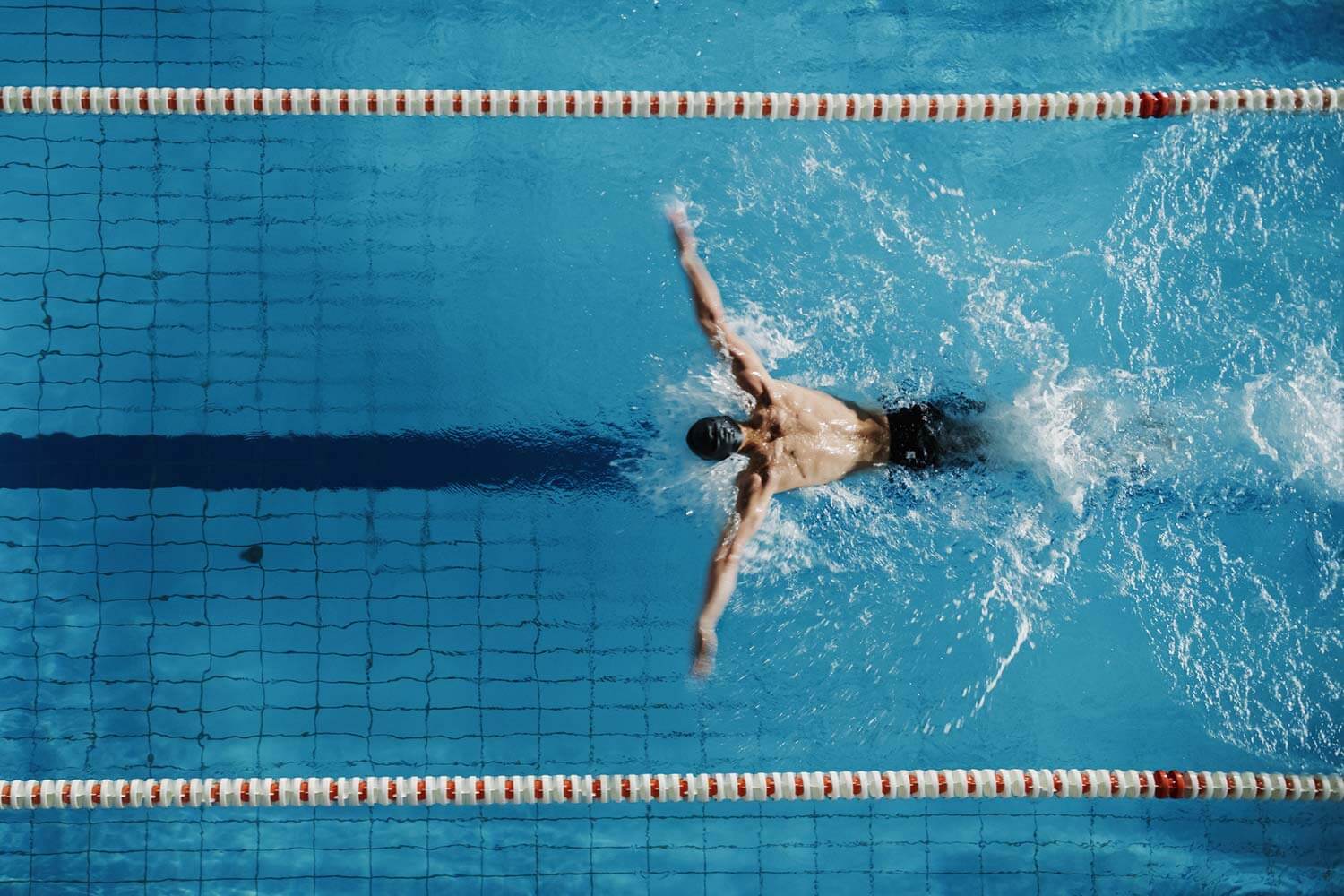 An aerial view of a swimmer in a pool, mid stroke, with swim lanes marked by ropes with floating buoys on either side An aerial view of a swimmer in a pool, mid stroke, with swim lanes marked by ropes with floating buoys on either side