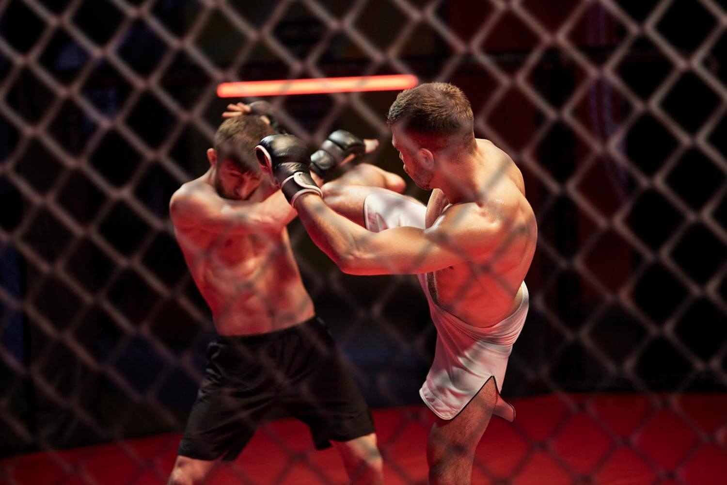 cage fighters sparring in a ring cage fighters sparring in a ring